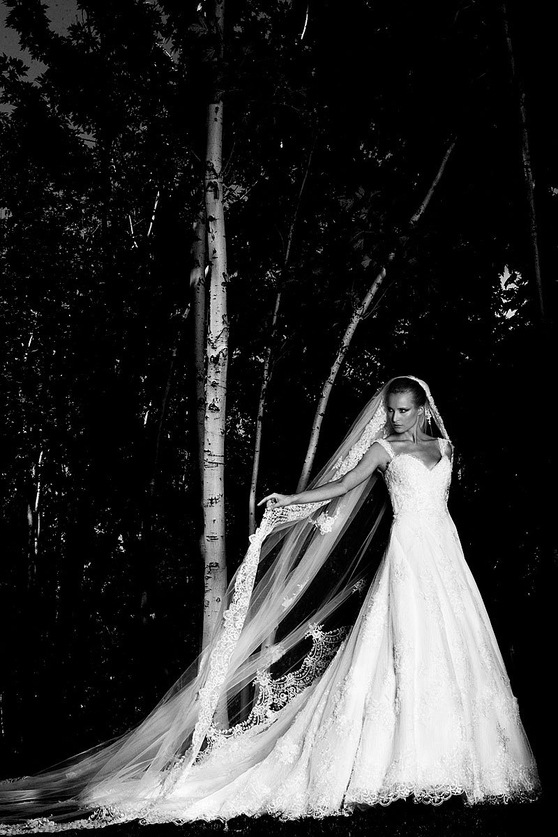 Elie Saab συλλογή 2011 - Γάμος - 1