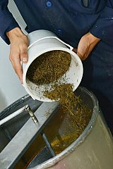 The image shows a person wearing a blue outfit pouring what appears to be dried herbal material from a white bucket into a large metal container. The contents look like small, fine plant parts, indicating a process related to food production or herbal processing. The large container is likely used for mixing or processing the materials.